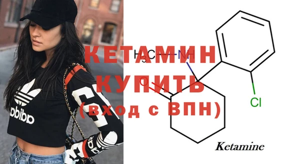 spice Новодвинск