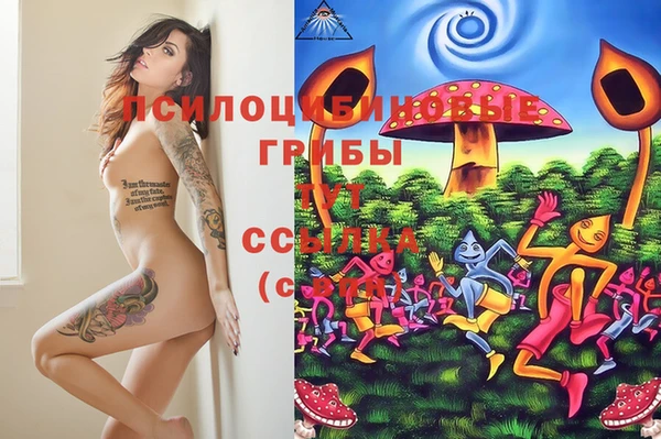 кристаллы Верея