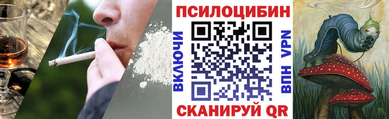 Псилоцибиновые грибы Cubensis  Купить  Михайловка 